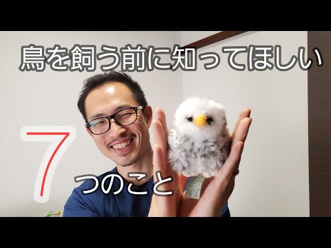 怖がるインコを飼いならす方法