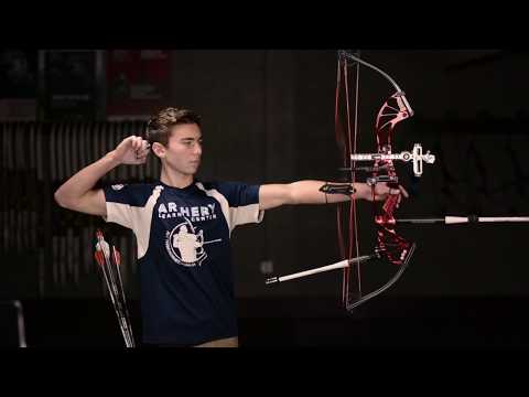 ALC Hornet - A Form Sudy