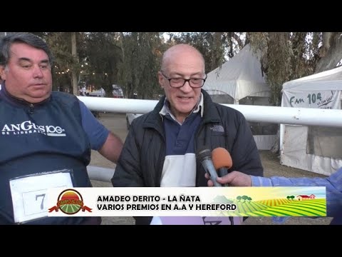 Amadeo Derito - Juan Martin Ojea Rullan - Cabañero / “La Ñata” varios premios en A.A. y Hereford