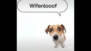 Cover art for wenomechainsama tumajarbisaun wifenlooof eselifterbraun