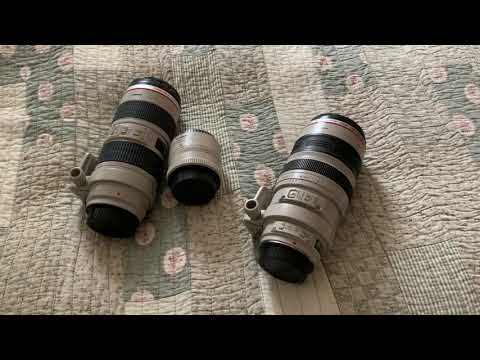 Keep which one? Canon 70-200mm f2 8 + 2x Converter vs 100-400mm f4.5 - 5.6 L IS USM Lens Comparison