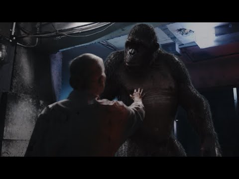 YouTube video placeholder