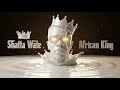 SHATTA WALE RUN THIS OFFICIAL AUDIO