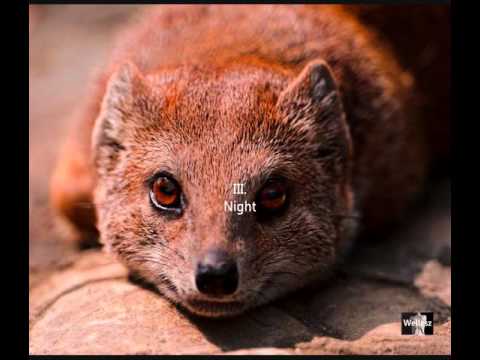 Alfred Schnittke: Rikki Tikki Tavi (1976)