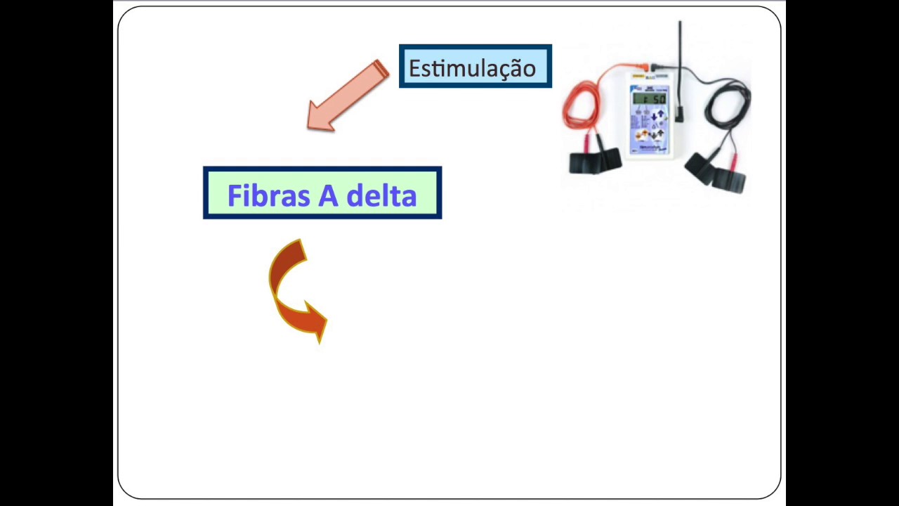 Video Aula Eletroanalgesia