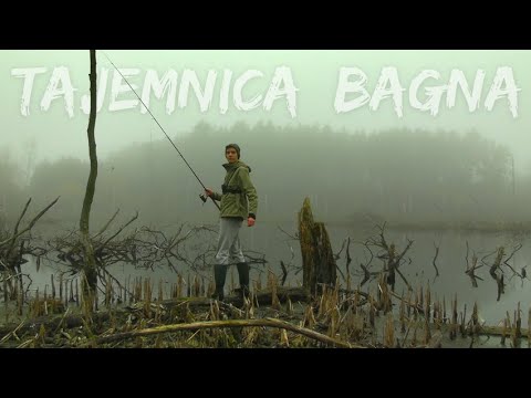 WE FOUND FISH in the OLD SWAMP!