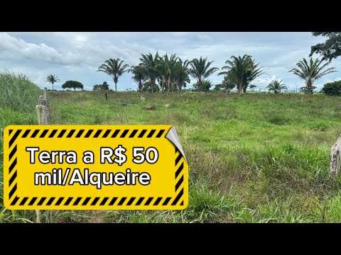 Fazenda a venda no Pará em Santa Maria das Barreiras PA 50 mil/Alqueire#agro