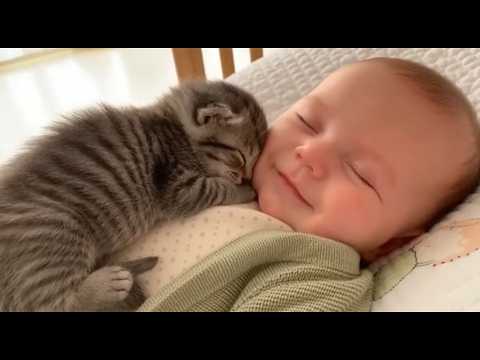 YouTube 썸네일