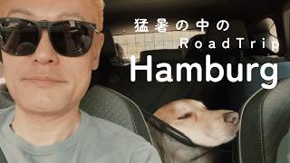 【ハンブルク旅】猛暑の中　愛犬を連れて車でハンブルクへ! 　愛犬と楽しむ夏の北ドイツへの旅Vlog | ロードトリップ