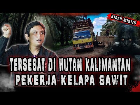 CERITA HOROR PEKERJA SAWIT!!SAAT BERTUGAS DI PULAU KALIMANTAN!!!!
