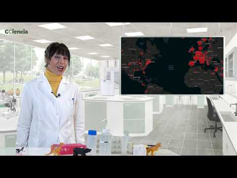 Vídeo: As palabras da pandemia