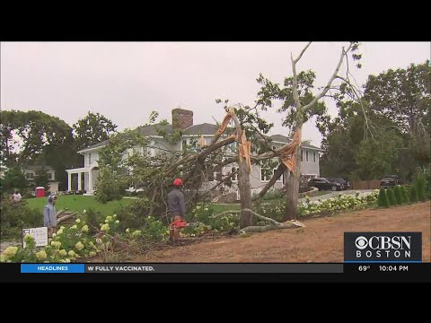 Tornado Confirmed On Cape Cod As Remnants Of Ida Moved Through