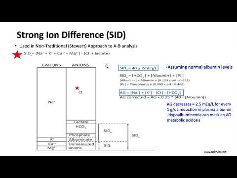 Keyword Review 2019 | Respiratory Anatomy, Physiology & Thoracic (part 3 of 5) - (Dr. Schell)