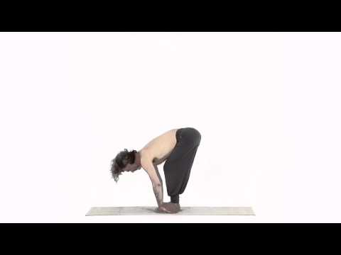 Elefante, variazione con Mula Bandha - Gaja Asana