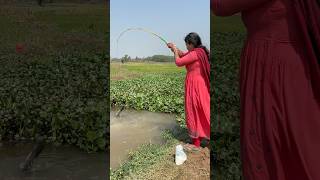 Download lagu Wanita cantik memancing di air berlumpur dengan kail #metodememancing #menangkap_ikan #video_memancing mp3