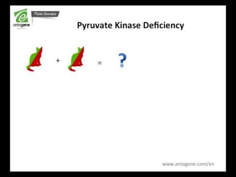 download lagu mp3 mp4 Pkdef, download lagu Pkdef gratis, unduh video klip Pkdef