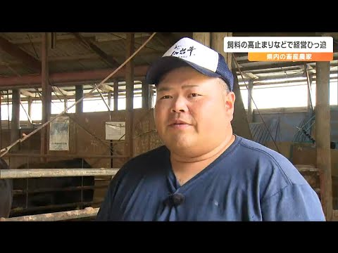 質の高い飼料とは何ですか?