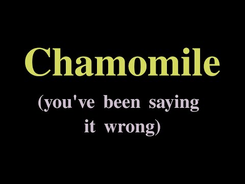How to *Really* Pronounce Chamomile