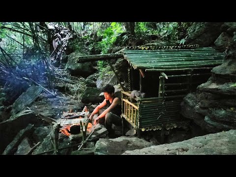 Full video: Survival in the rainforest. Build shelter in any terrain. 300 Days Solo Bushcraft.