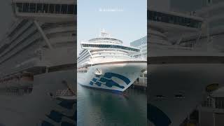 Princess Quietly Raises Shipping Prices for Cruise Medallions. #cruise #cruises #cruisenews