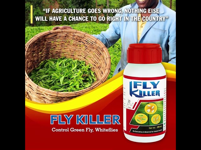 Flykill Fly Killer - Bio Insecticides Fly Killer from Rajkot