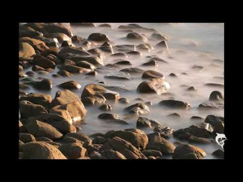 Doris Dragovic - Zemlja i Stina (Lyrics)