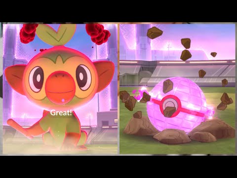 Pokemon GO - Max Battle - Dynamax Grookey (iPhone 15 Pro Max) Pokémon GO #mmtopokemongo