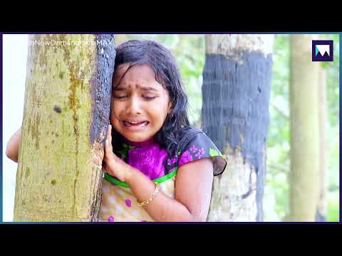 മണിക്കുട്ടൻ  മരിച്ചതറിഞ്ഞു ഞെട്ടലോടെ ജാനിക്കുട്ടി ...  | Manjurukum Kaalam | MAX ARCHIVES |