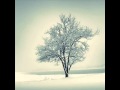 Erstarrung aus Schuberts Winterreise