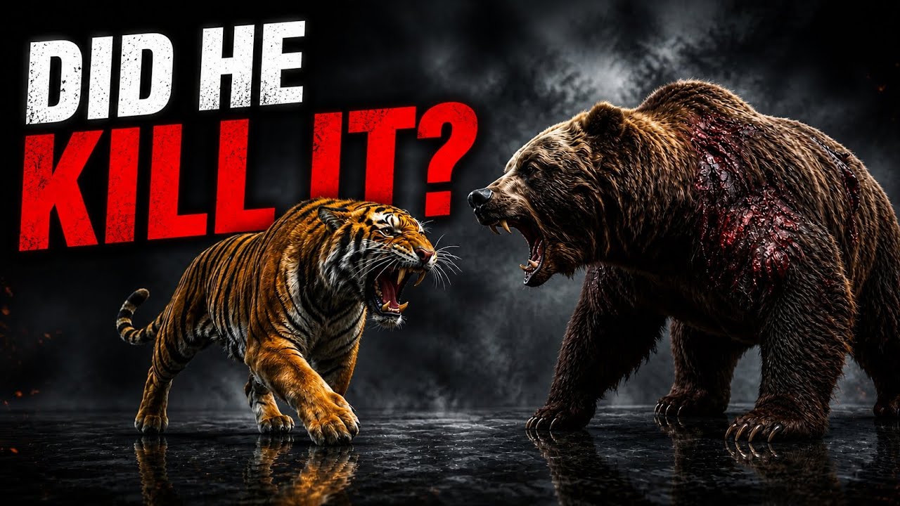 Did Tiger Odyr Kill a Massive Brown Bear?
