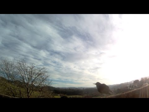 FUNUNCAN - Hezar Pareh (Mehdi Aminian)