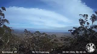 2BRW – TX – 2026-02-03