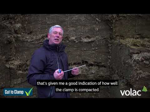 Using a probe to measure consolidation - Cut to Clamp