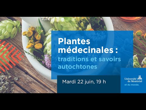 , title : 'Plantes médicinales: traditions et savoirs autochtones'