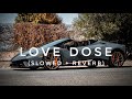 Love Dose || (Slowed + Reverb) Yo Yo Honey Singh Song Lofi