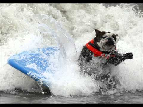 T-H-C feat Patricia Edwards- Ain't Nobody.wmv https://www.youtube.com/watch?v=6siEMUwDBoQ