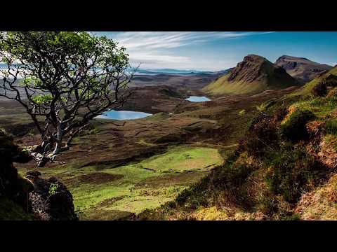 Calin Vint - Omul fara dragoste