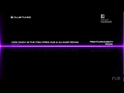 Scooter - How Much Is The Fish (Free DJ's & DJ Karp Remix)