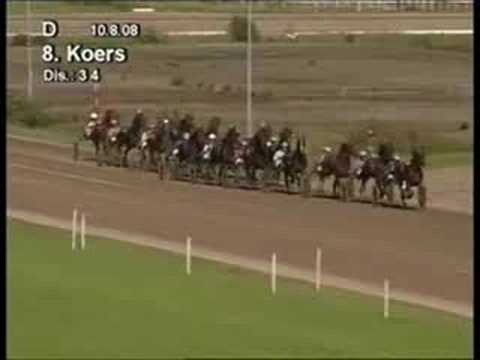 Derby Y - Yucca Boko