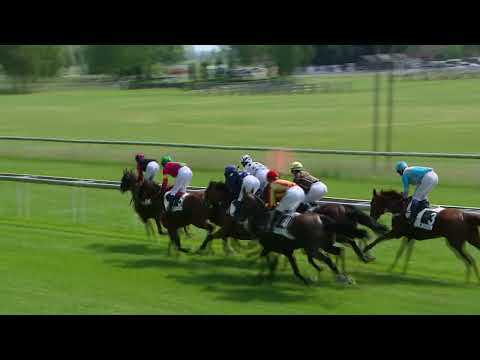 Frauenfeld/06.06.2022/Preis der Jungen Reiter