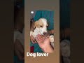 Dog Love Stressrelief Love Habbit Everything Zoe