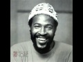 BEST INTRO  EVER - THE MARVIN GAYE ORCHESTRA'S INTRO