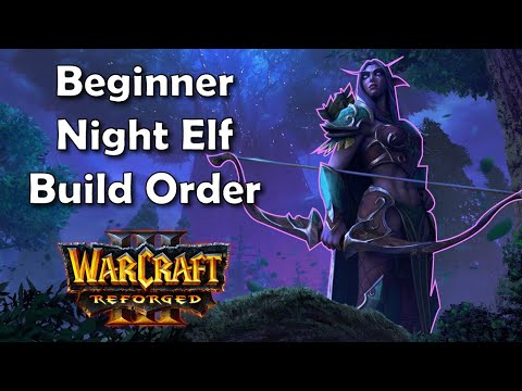 Reforged | Night Elf Beginner Build Order