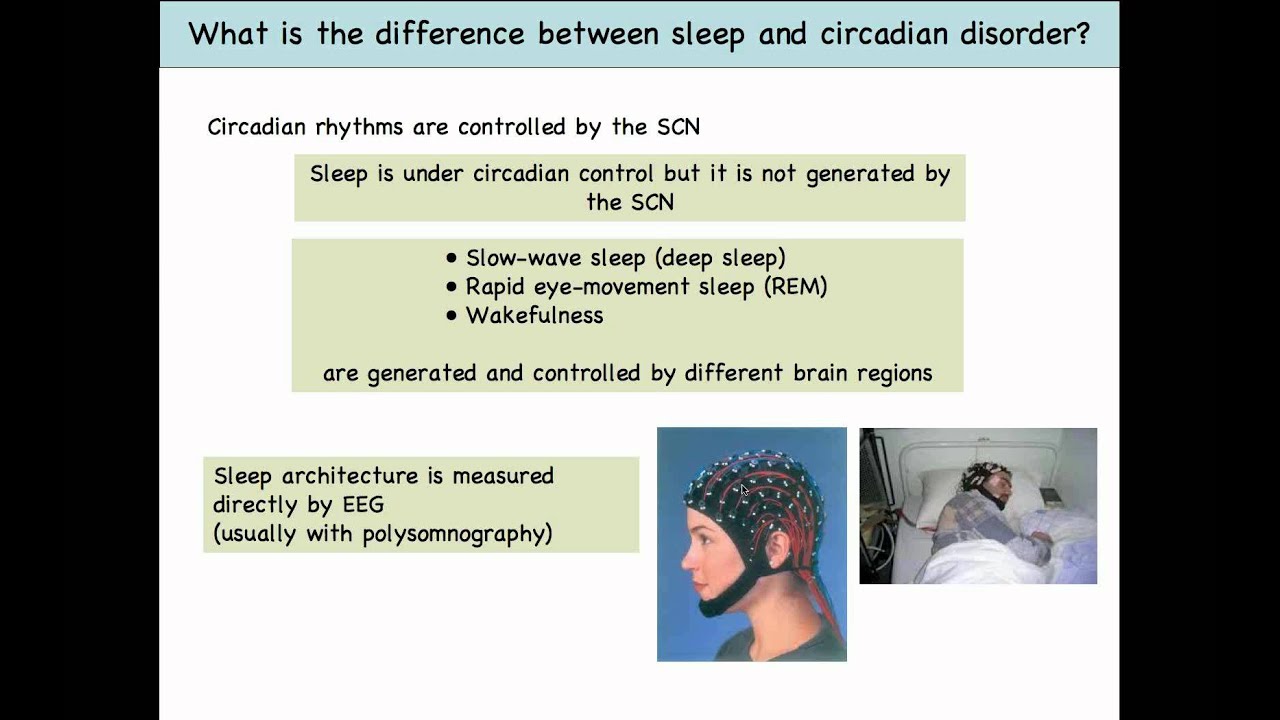 Research Webinar: Sleep Circadian Dysfunction in HD
