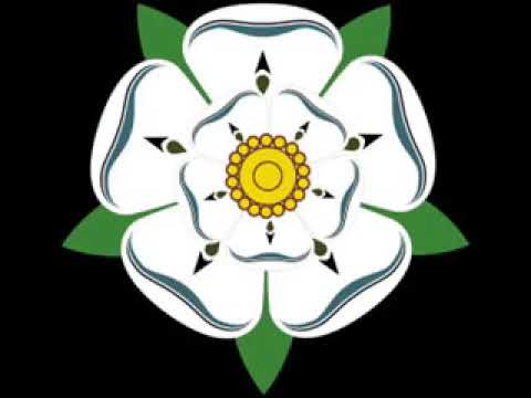 Oldskool Niche   Do you want it right now