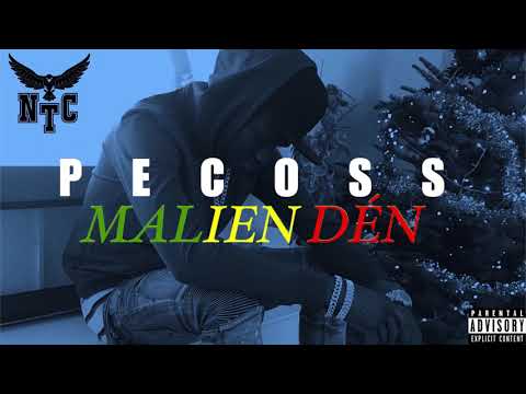 PECOSS - MALEN DÉN (Audio)