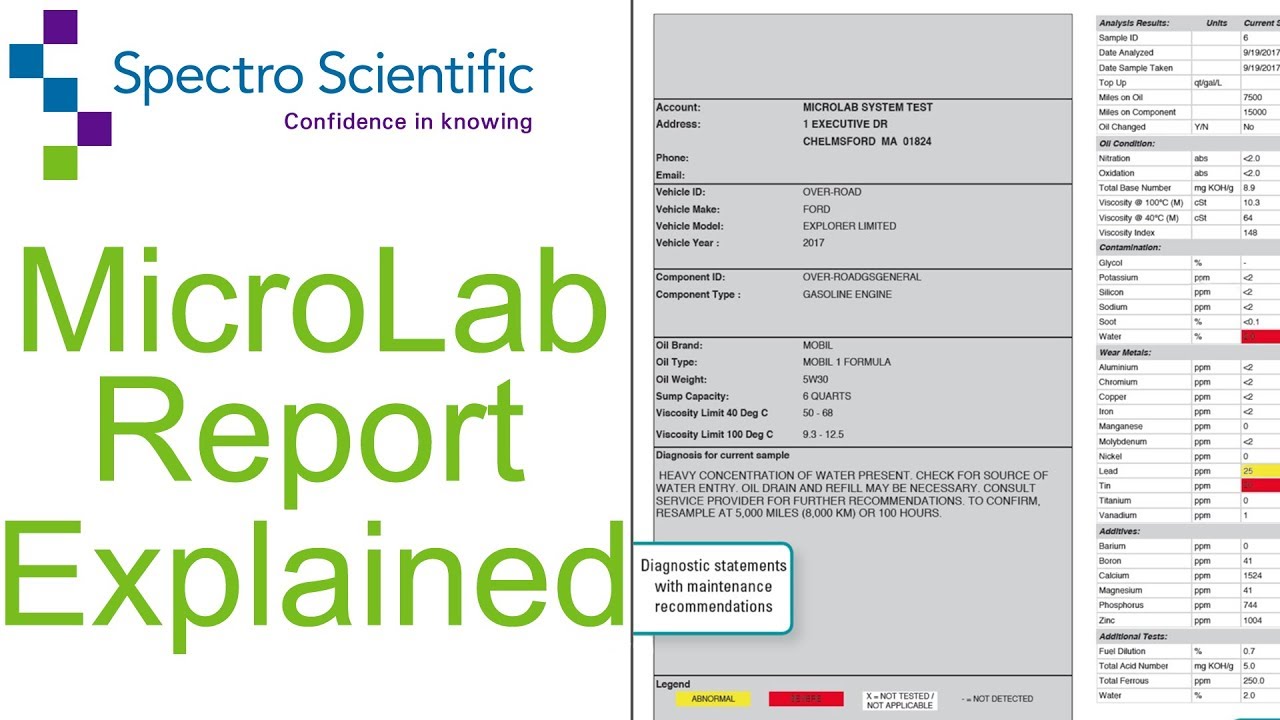 MicroLab Report Explained