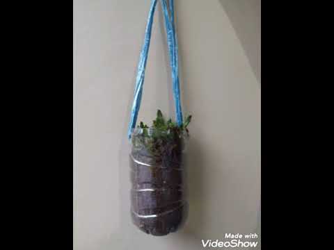 Muhammad Daffa' Ramadhan • M0520052