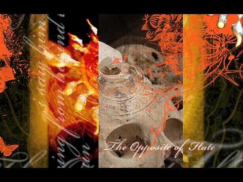 The Opposite Of Hate - I Saw Him Coming From Behind The Sun
