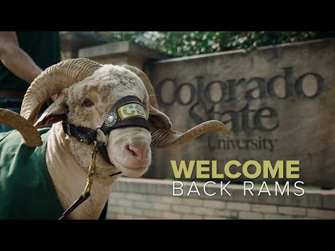 Welcome Back to Colorado State University 🐏